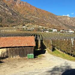Fahrt durch das Vinschgau