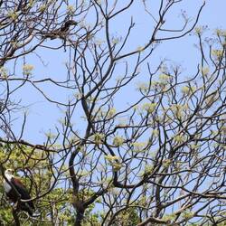 Suchbild, ein ... und 2 .....