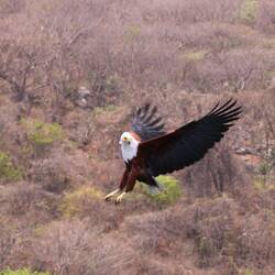 Upps, vorbei geflogen