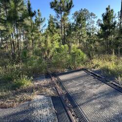 I had to show this... a level crossing on the highway back from Tallahassee to Apalachicola