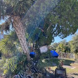 If it's a bike, we can fix it. We'll just throw it in the tree, and presto!