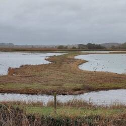 RSPB Minsmere Nature Reserve