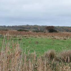 View towards Minsmere