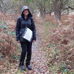 In the woods (plus rain)