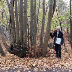 In the woods north of Eastbridge