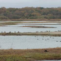 RSPB Minsmere Nature Reserve