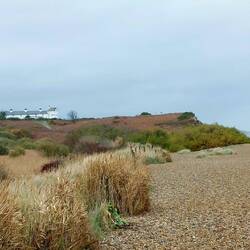 View back to the Coastguard Cottages from Minsmere Beach