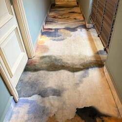 Leon's ist jung und verspielt... ...selbst der Teppich verspricht wolkig-wohligen Aufenthalt