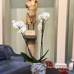 Oh, wie schön! Mein Körper so wie er quasi gestern war. Hach (seufz) was war die Jugend geschmeidig