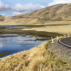 Last view as we head off early for a long climb