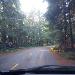 Der Scenic Drive Bluff, nix als Bäume, Wald und schlechte Straße.