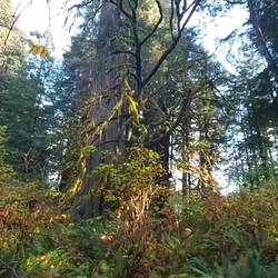 Auch hier ist Herbst.