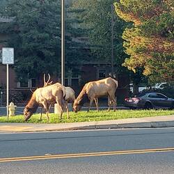 Wenn Sie jemand sehen will, Highway 101 ab 17 Uhr 😆