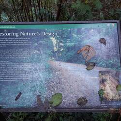 Die renaturierte Forststraße.