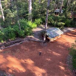 Arthur unten vom Baum