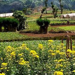 Auf dem Weg zur Therme