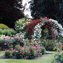 Christchurch Botanischer Garten