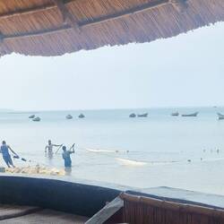 Das Ergebnis kann ich nicht zeigen, da reicht der Zoom nicht für die 2 Minifische