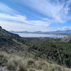 Blick auf Port de Pollenca