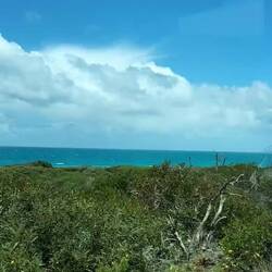Onderweg langs de oceaan