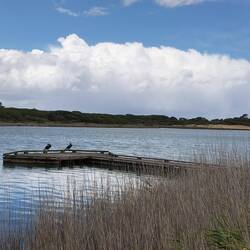 Anglesea, onze ontbijtplek