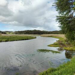 Ons achter uitzicht op de camping in Campbell