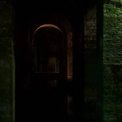 "Idiota di un Tuck!" (Cit.)