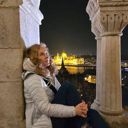 Pogled na Donavo in parlament