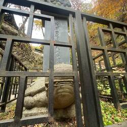 Turtles = perseverance