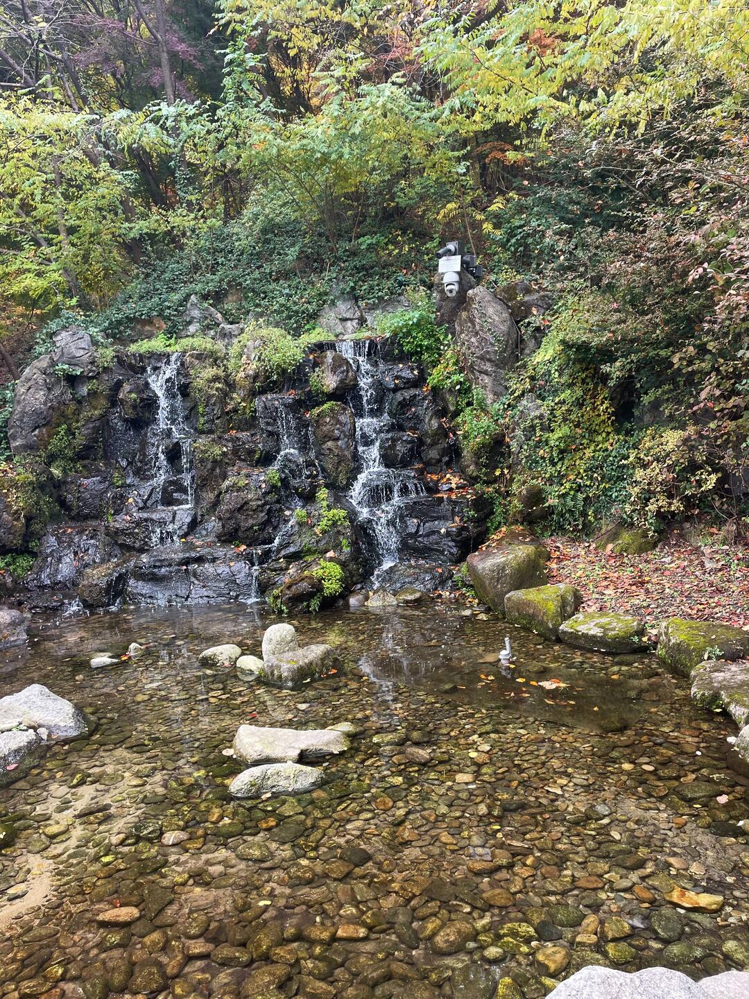 Babbling brook along forest path