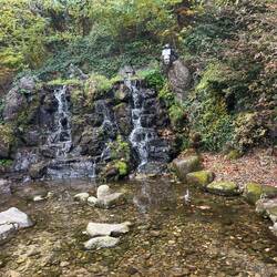 Babbling brook along forest path