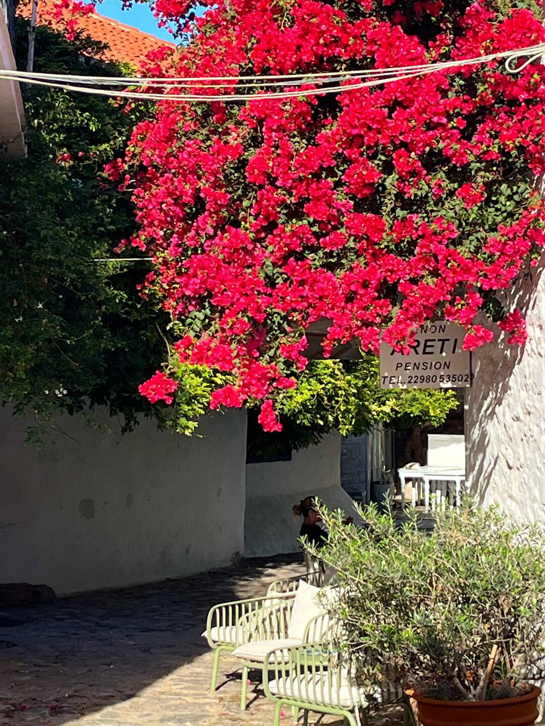 A street near Clift-Johnston house