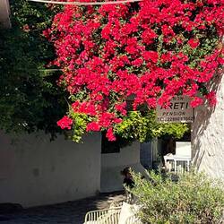 A street near Clift-Johnston house