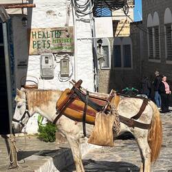 Where else to park your ass?