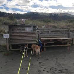 Gratis Strandspielzeug und Schirme
