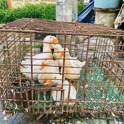 Die ahnen schon, was noch kommt