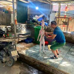 Das war mal ein Hund...