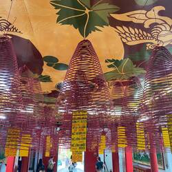 Dauerräucherschlange