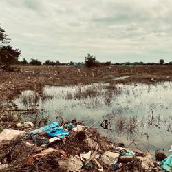 Hier wird Plastik geerntet