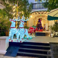 Zufällig auf dem Weg zum Hotel gesehen