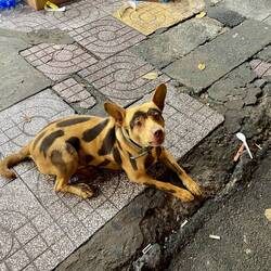 Einmal färben bitte