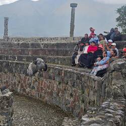 Parque Condor, Greifvogelpark