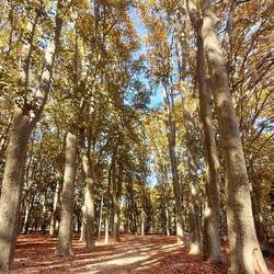 Son gigantesque et magnifique parc 😍❤️ où je venais jouer enfant avec mes cousines 🥰