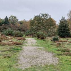 Westleton Common