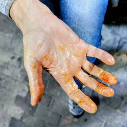 So schau ma öfters aus