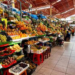 Frisch, lecker und soooo viele Sorten