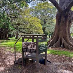 De speaker's corner! Al jaren lang de plek om elke zondag je verhaal te verkondigen :)
