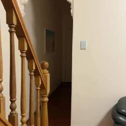 De eerste grote spin in huis (gefilmd door bange limbo huisgenoot)