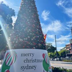 Merry Christmas in dertig graden alvast!