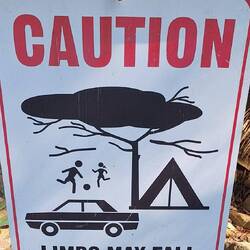 Herabfallende Äste ohne Warnung - das gäbs bei uns nicht